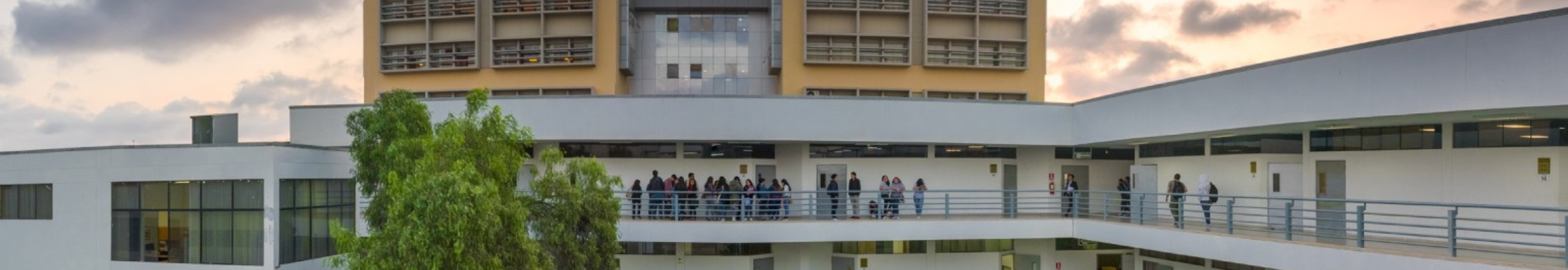 Imagen institucional